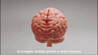 Videos | La Mujer y la Niña en la Ciencia 2025
