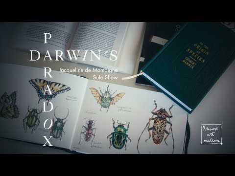 Because Art Matters -  Darwin´s Paradox - Jacqueline de Montaigne solo art show