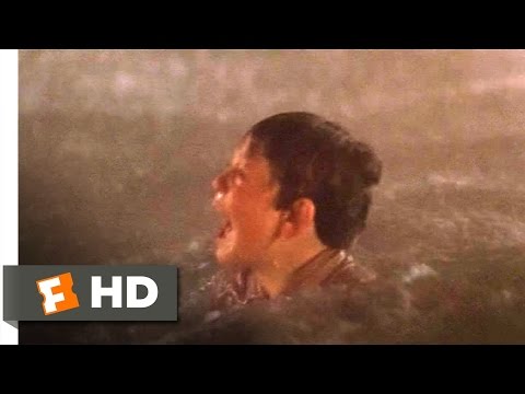 The Black Stallion (4/11) Movie CLIP - Saved by the Stallion (1979) HD