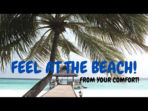 Peaceful beach nature background music for relaxation.