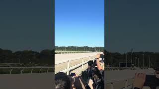 オケマル 園田史上初無敗三冠馬達成の瞬間＃園田競馬＃オケマル＃無敗三冠馬＃感動＃おめでとう＃最高の瞬間＃競馬＃3歳＃史上初