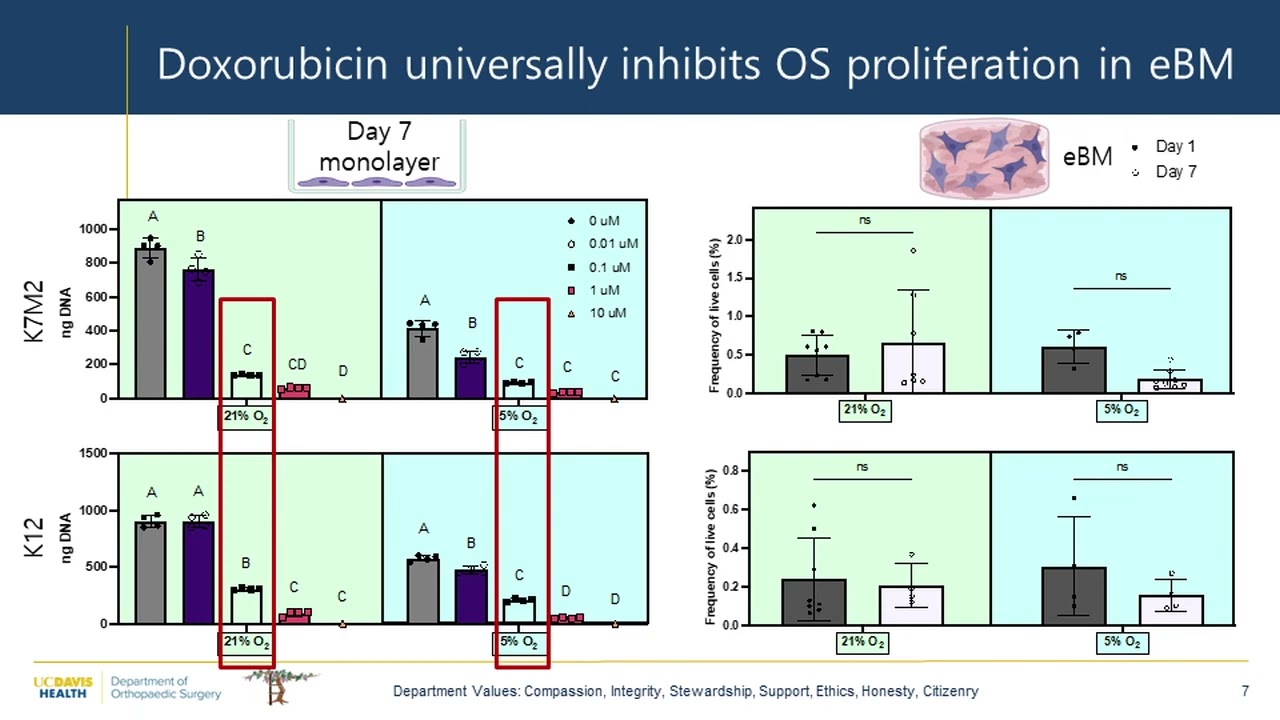 Engineering Approaches to Interrogate and Combat Osteosarcoma