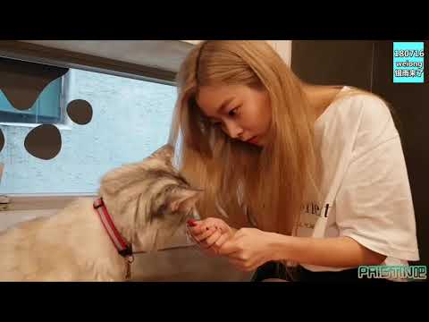 [PRISTIN中字] 180716 weiong~銀雨來了