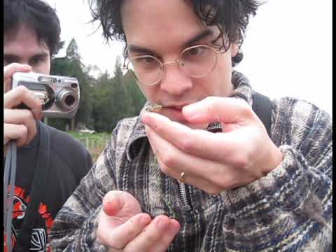 fox academy - favorite team