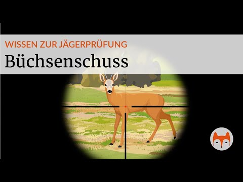 The rifle shot | Hunting ethics, chamber shot & stalking signs explained