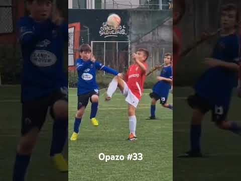Opazo Skills