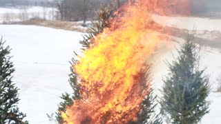 Past Portland "Jean Cocteau" Official Video