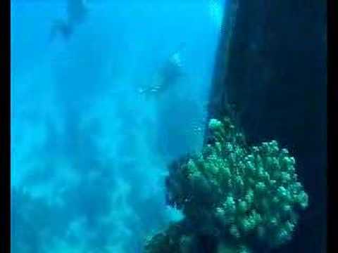 Wracks im Roten Meer