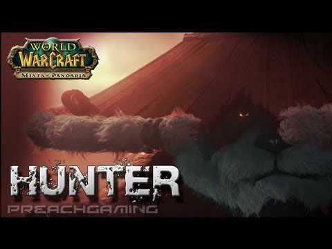 5.3 Marksmanship Hunter Basic DPS Guide