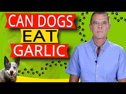 YouTube video about: How to deworm a dog with garlic?