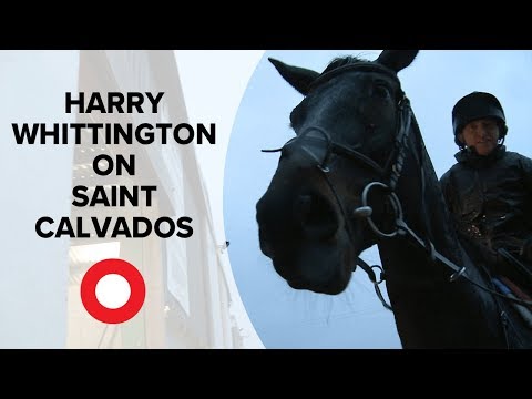 Harry Whittington hopeful of toppling Altior with stable star Saint Calvados