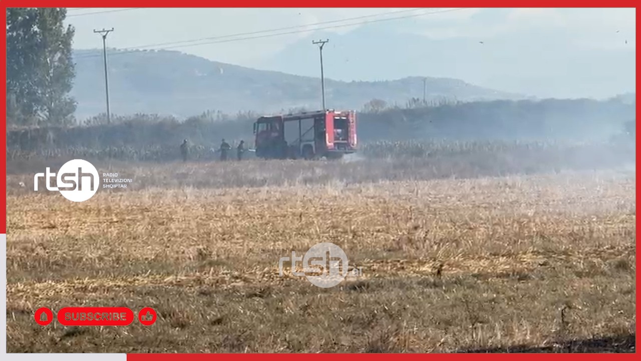 Fier/ Rreziku nga flakët në Topojë, ndërhyrja e shpejtë e zjarrfikësve neutralizon vatrën pranë zonës së banuar