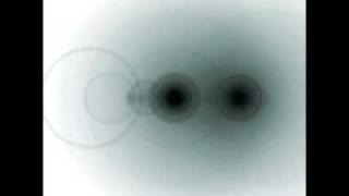 Datach'i- Flex Membrane