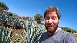 I'd Rather Live in Mexico Than the US (#18)