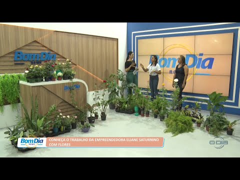 Conheça o trabalho da empreendedora Eliane Saturnino com flores 06 09 2022