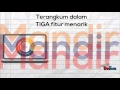 DLC Programme
