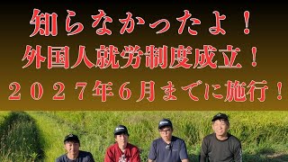 A new system for developing and employing foreign workers, which may also have an impact on agric...