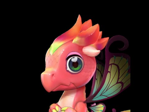 #DML How to breed Pixie Dragon - Dragon Mania Legends