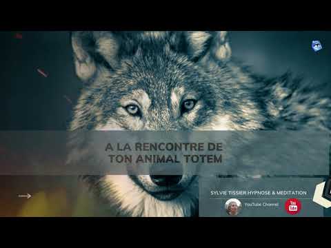 Chamanisme : Quel est ton animal totem ?