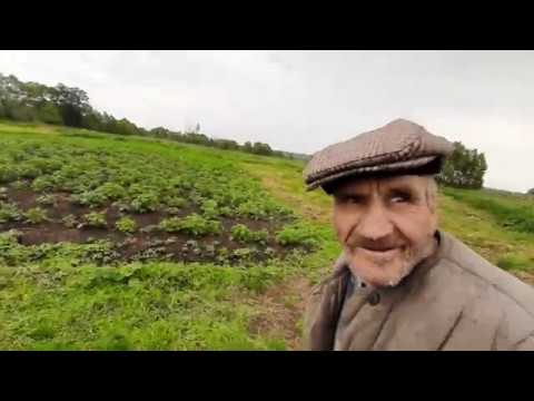 ДЕД МАТВЕЙ В ЛЮБУЮ ПОГОДУ РАБОТАЕТ!