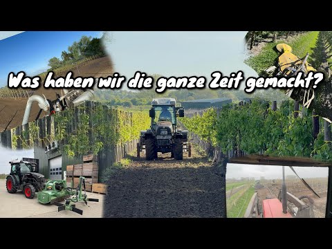 Obsthof Raddatz - What have we been doing all this time? | New planting | Irrigation | Thinning