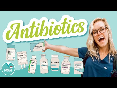 Intro to Antibiotics | Pharmacology Help for Nursing Students