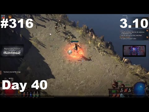 Day 40 - Leveling a Witch Elementalist as a Summoner to Make My Golem Build - 316