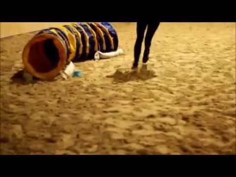 Agility trénink 18.3. 2015 - Alinka