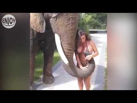 francia james is petting an elephant