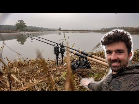 Karpfen Angeln im Herbst 🤯 So läuft es wirklich!