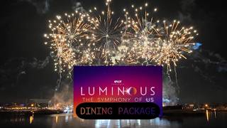 Is the Luminous Fireworks Dining Package really worth it Dining at Spice Road Table at EPCOT