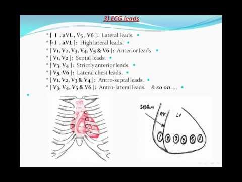 Principles of ECG "electrocardiography" Part 4