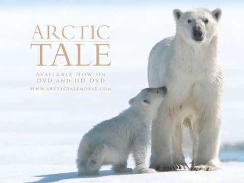 Arctic Tale Nintendo DS