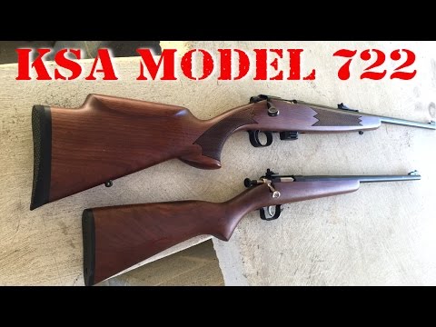 Keystone Crickett Rifle 22LR Review: Best Gift Of 2024?