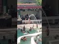 Biyaheng Impiyerno