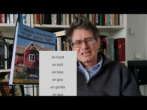 Schwedisch lernen: En oder Ett - Regel 2