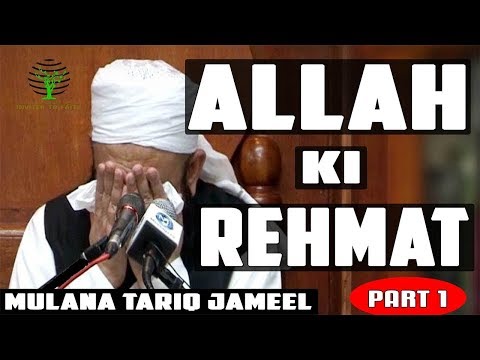 Molana Tariq JAmeel Heart