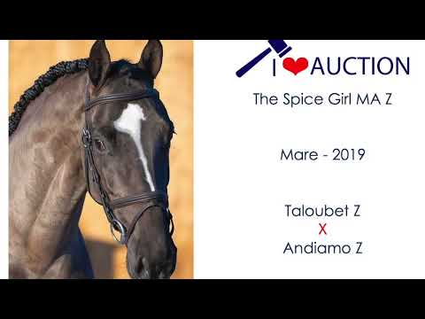 The Spice Girl MA movements