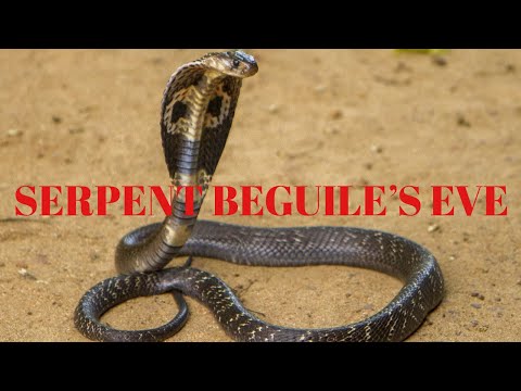 Serpent’s Beguiled Eve