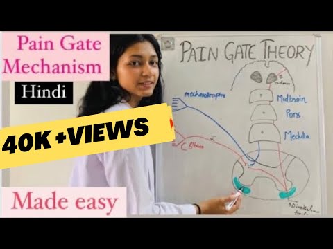 Pain gate theory physiotherapy | pain gate mechanism | gate control theory | Electrotherapy explain ▶9:45