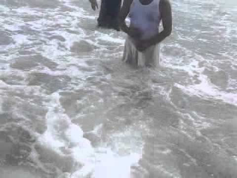 SAIDI LOWER  IQRAR,SAFDAR,HAKIM,GADA ON SEA VIEW