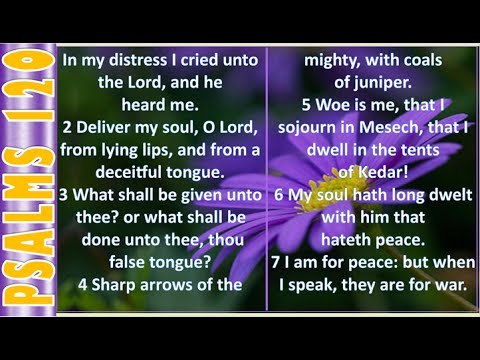 Psalms 116 --120