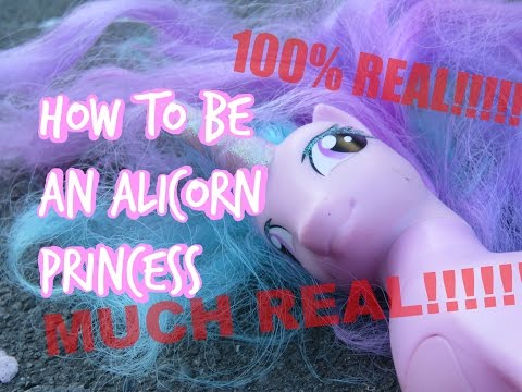 MLP- How To Be An Alicorn Princess