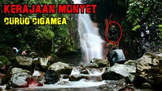 Download lagu KASIH MAKAN MONYET BISA KAYA | MISTERI CURUG CIGAMEA BOGOR mp3