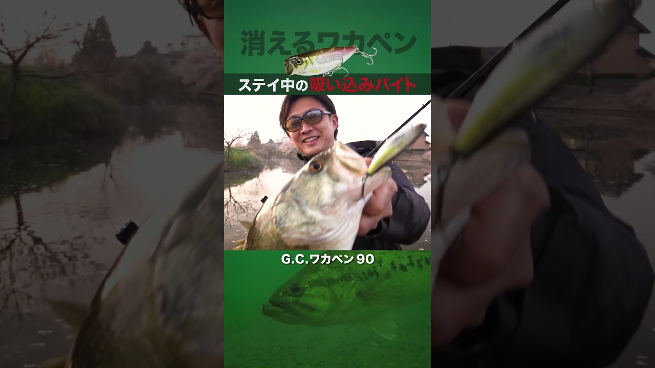 【バス釣り】ステイ中に消し込むバイト「ワカペン」 #issei #赤松健