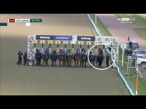 Top class from William Buick at Lingfield! 👏