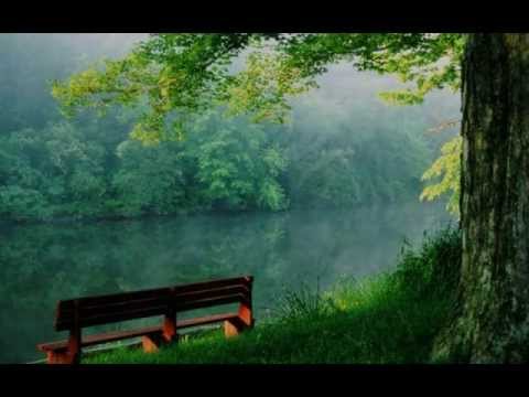 Tiesto - If A Lie Was Love (feat. Josie Cotton) [cut by Goyote] with lyrics