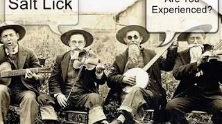 Salt Lick -  Are You Experienced?