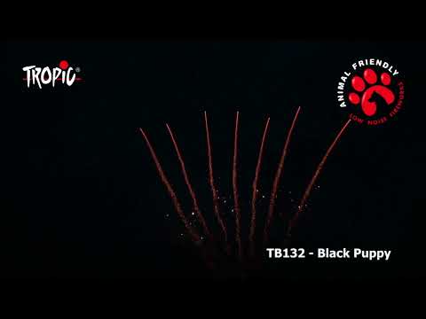 TB132 - Black Puppy