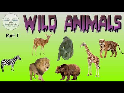 Wild animals in English Part 1